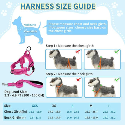 SlowTon No Pull Small Dog Harness and Leash Set, Puppy Soft Vest Harness Neck & - Image 5
