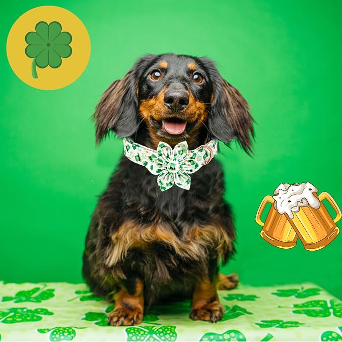 Lionheart glory St. Patrick's Day Dog Collar - Image 4