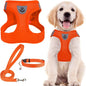 PUPTECK Adjustable Dog Harness Collar and Leash Set Step in No Pull Pet Harness by PUPTECK