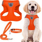 PUPTECK Adjustable Dog Harness Collar and Leash Set Step in No Pull Pet Harness by PUPTECK