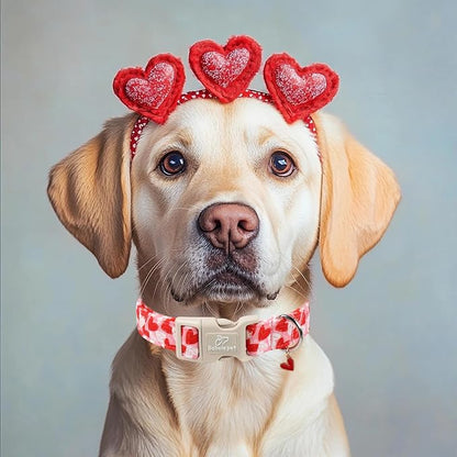 Valentines Dog Collar for Medium Dogs - Image 5