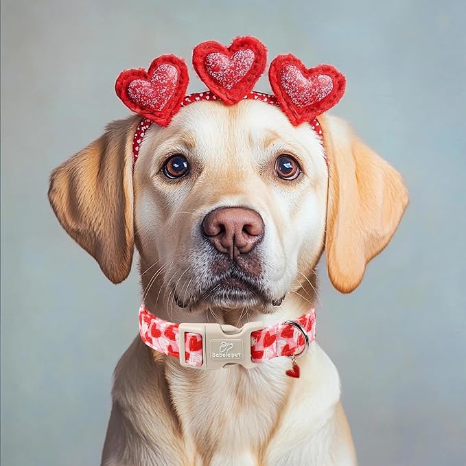 Valentines Dog Collar for Large Dogs - Image 5
