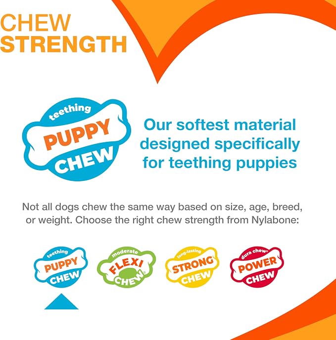 Nylabone Double Action Bone Puppy Chew Toy, Rubber Teething Toys - Image 4