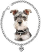 HOWWFALY Dog Collar and Dog Chain Necklace Stainless Steel Adjustable 18K by HOWWFALY