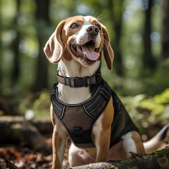 Joytale Reflective Dog Collar, Soft Neoprene Padded, Metal D-Ring, Nylon Pet - Image 2