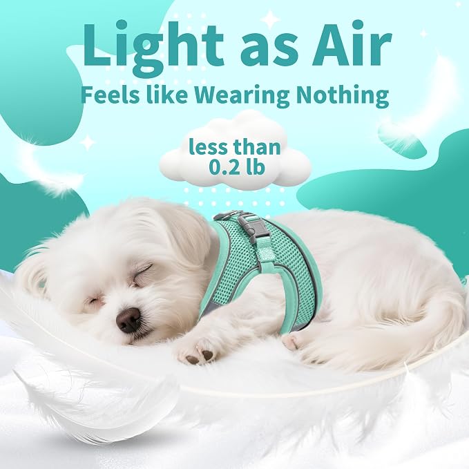 AIITLE Easy Walk Dog Harness and Leash Set - Image 9