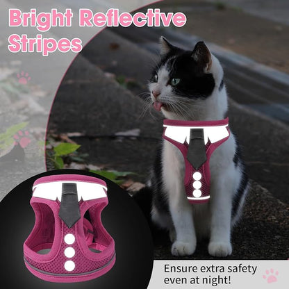 Cat Harness and Leash Set for Walking Escape Proof, Soft Adjustable Kitten - Image 7