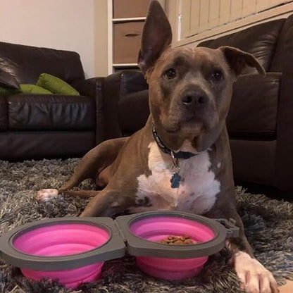 Loving Pets - Bella Roma Double Diner Portable Travel Dog Bowls Collapsible - Image 5