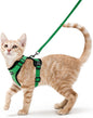 rabbitgoo Cat Harness and Leash by rabbitgoo