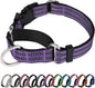 Martingale Dog Collar, Adjustable Nylon Reflective Collar by JOYEEIIOO