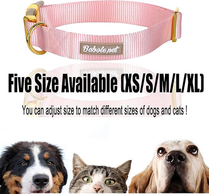 Nylon Dog Collar - Image 6