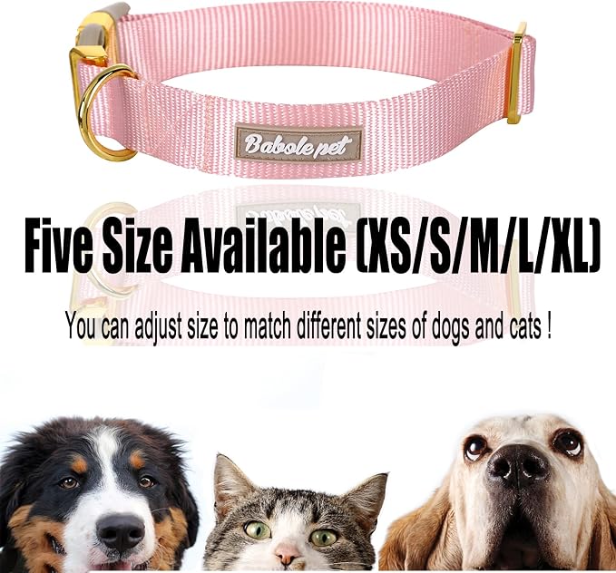 Nylon Dog Collar - Image 7