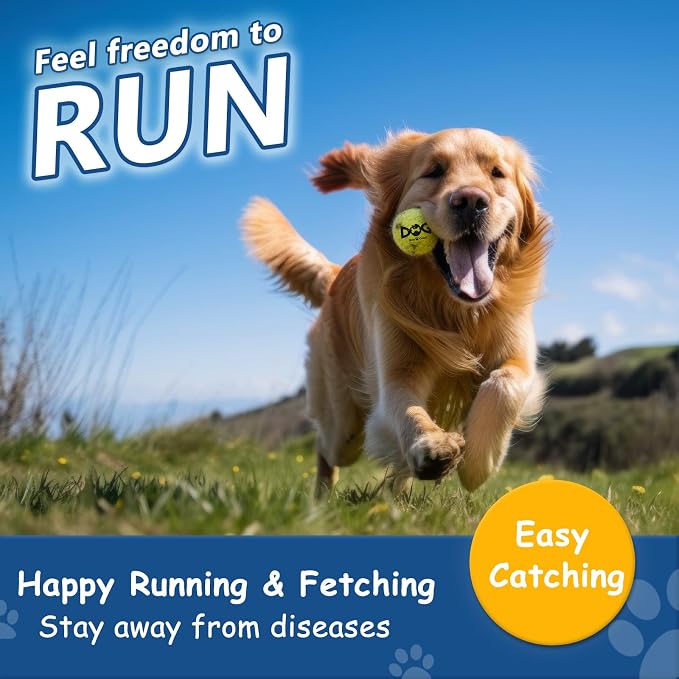Large Squeaky Tennis Balls for Dogs - Image 2