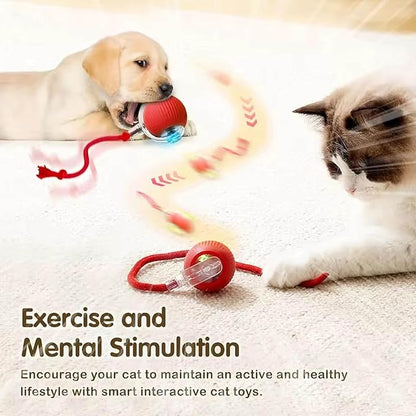 2 PCS Interactive Cat Toy Rolling Ball Chewie Viral Dog Ball, Smart Automatic - Image 4