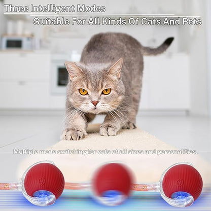 New Upgraded Cat Ball Toy - Image 6