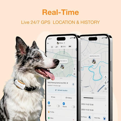 Next-GEN Smart GPS Tracker for Dogs Real-Time Location Tracking - Image 2