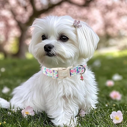 Floral Dog Collar for Small Dogs - Image 5