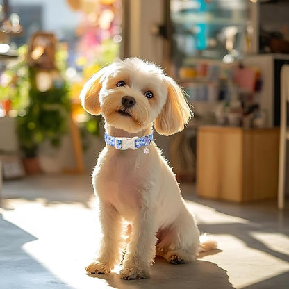 Floral Dog Collar for Large Dogs - Image 5