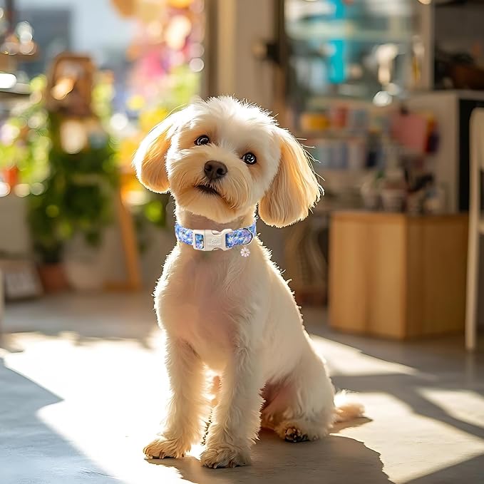 Floral Dog Collar for Medium Dogs - Image 5