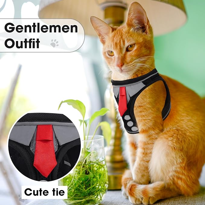 Cat Harness and Leash Set for Walking Escape Proof, Soft Adjustable Kitten - Image 5