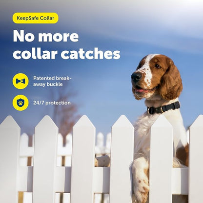 PetSafe KeepSafe Break-Away Safety Collar - Image 2