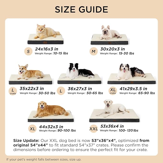 Bedsure Dog Beds Large Sized Dog - Image 7