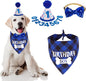 ADOGGYGO Dog Birthday Party Supplies, Pet Party Hat by ADOGGYGO
