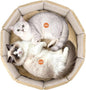 PJYuCien Premium Orthopedic Memory Foam Round Pet Bed by PJYuGienPetGarden