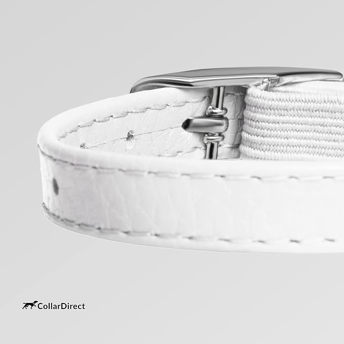 CollarDirect Leather Cat Collar, Kitten Collar - Image 3