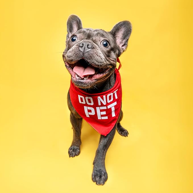 Do Not Pet Dog Bandana - Image 3