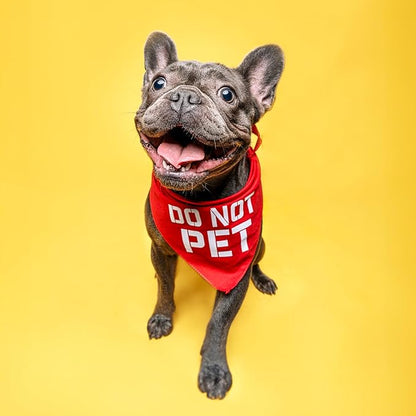 Do Not Pet Dog Bandana - Image 3