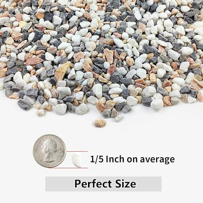 10LB Succulent and Cactus Gravel Pebbles, 1/5 Inch Natural Decorative Polished - Image 2