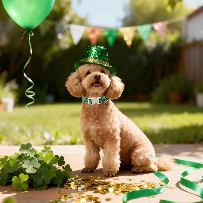 St Patricks Day Dog Collar for Giant Large Dogs - Image 3