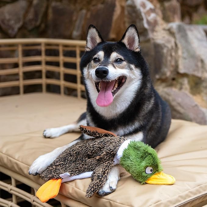 Best Pet Supplies Squeaky Dog Toys - Image 11