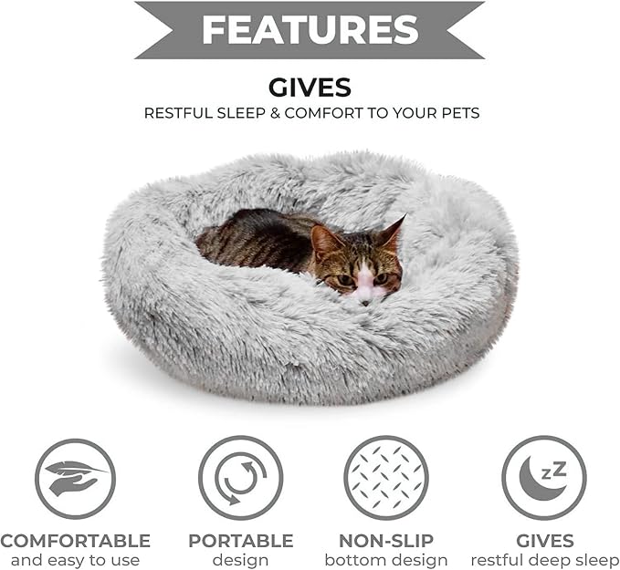 Whiskers & Friends Cat Bed, Cat Beds - Image 3