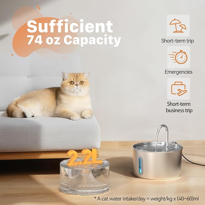 Cat Water Fountain Stainless Steel: 74oz/2.2L Cat Fountain - Image 2