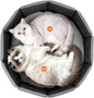 PJYuCien Premium Orthopedic Memory Foam Round Pet Bed by PJYuGienPetGarden