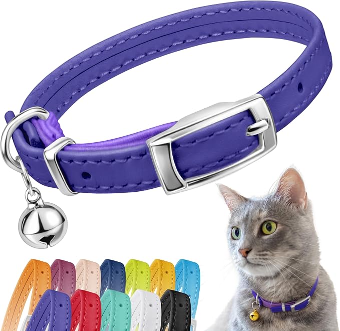 CollarDirect Leather Cat Collar, Kitten Collar by CollarDirect