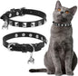 EXPAWLORER Halloween Leather Cat Collar by EXPAWLORER