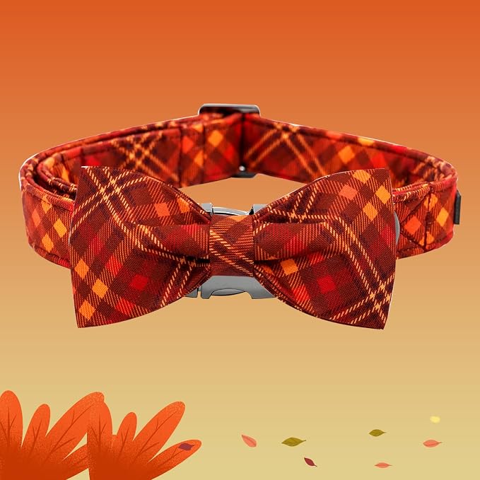 Fall Dog Collar, Pet Collar - Image 3