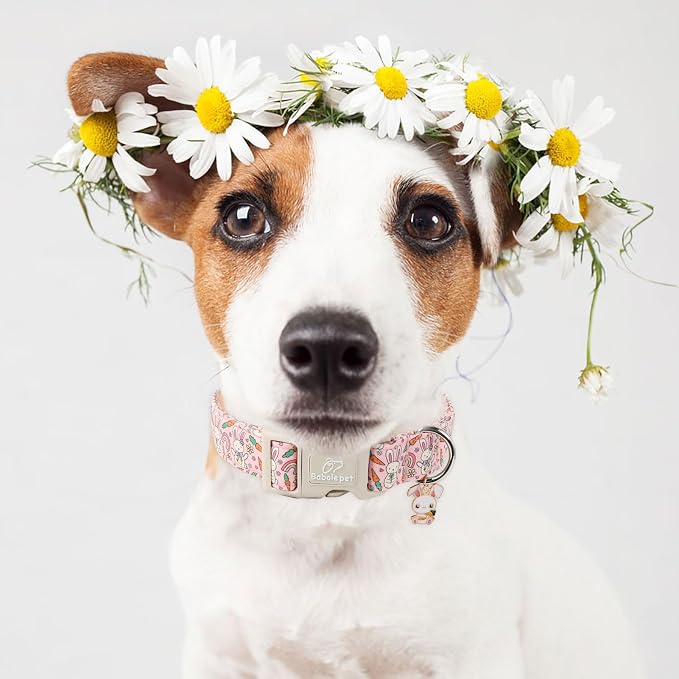 Easter Dog Collar for Large Dogs - Image 2