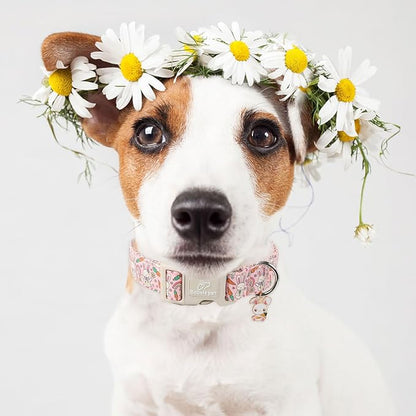 Easter Dog Collar for Large Dogs - Image 2