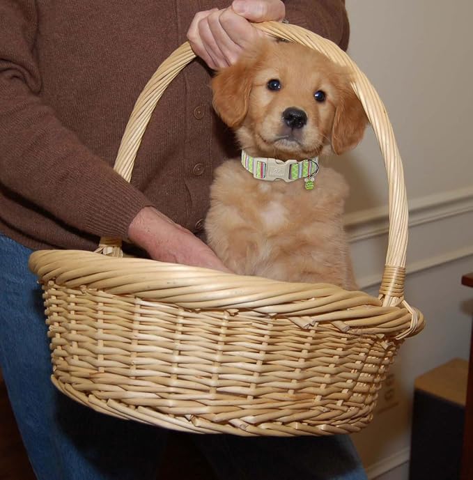 Easter Dog Collar for Large Dogs - Image 3