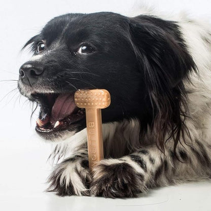 Bullibone Nylon Dog Chew Toy for Aggressive Chewers - Image 8