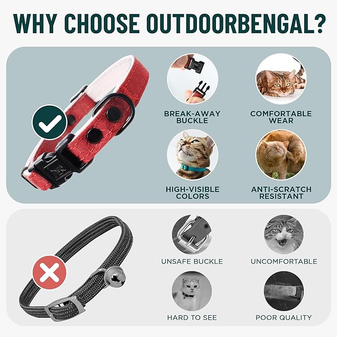 OutdoorBengal Orange Breakaway Kitten Collar - Image 3