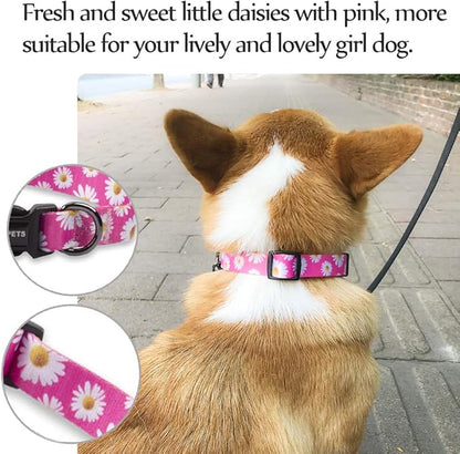 QQPETS Adjustable Soft Dog Collar: Print Flower Pink Multicolor Cute Patterns - Image 2