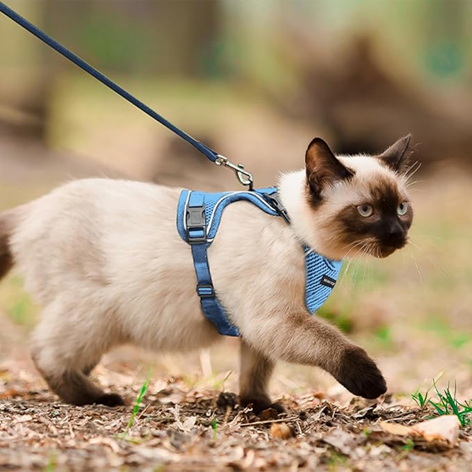 Cat Harness, Cat Harness and Leash - Image 5