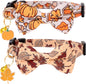 Faygarsle 2 Pack Breakaway Fall Cat Collars by Faygarsle