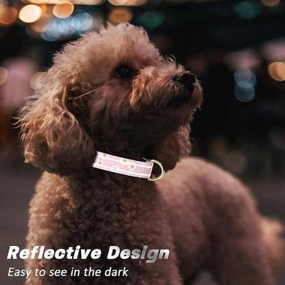 Reflective Dog Collar for Small Dogs, Cute Daisy Theme Adjustable Heavy-Duty - Image 3
