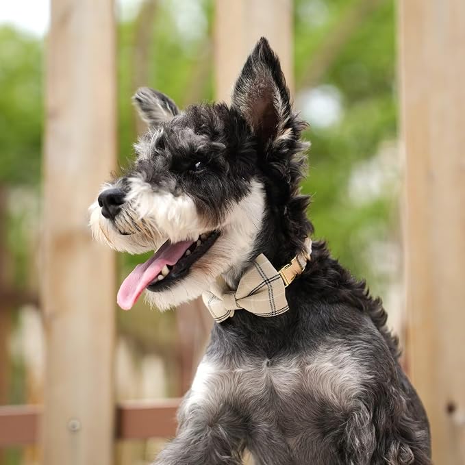 Beirui Cute Extra Small Dog Harness Collar and Leash Set - Image 5